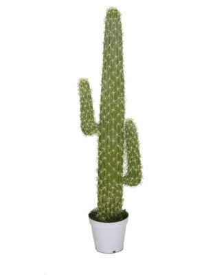 PLT-05 Cactus artificial plant, 145cm, Oriental Effect Lagos