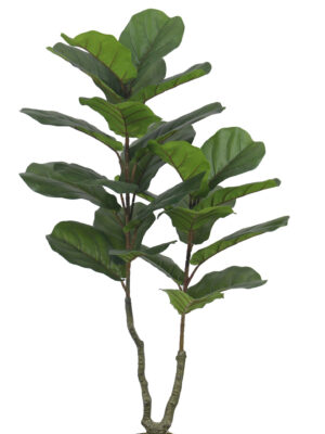 Fiddle-120cm