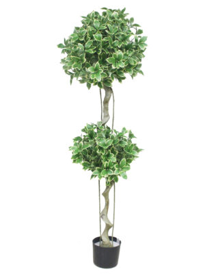 Lorbbier-150cm