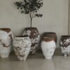 Big Venice Pot