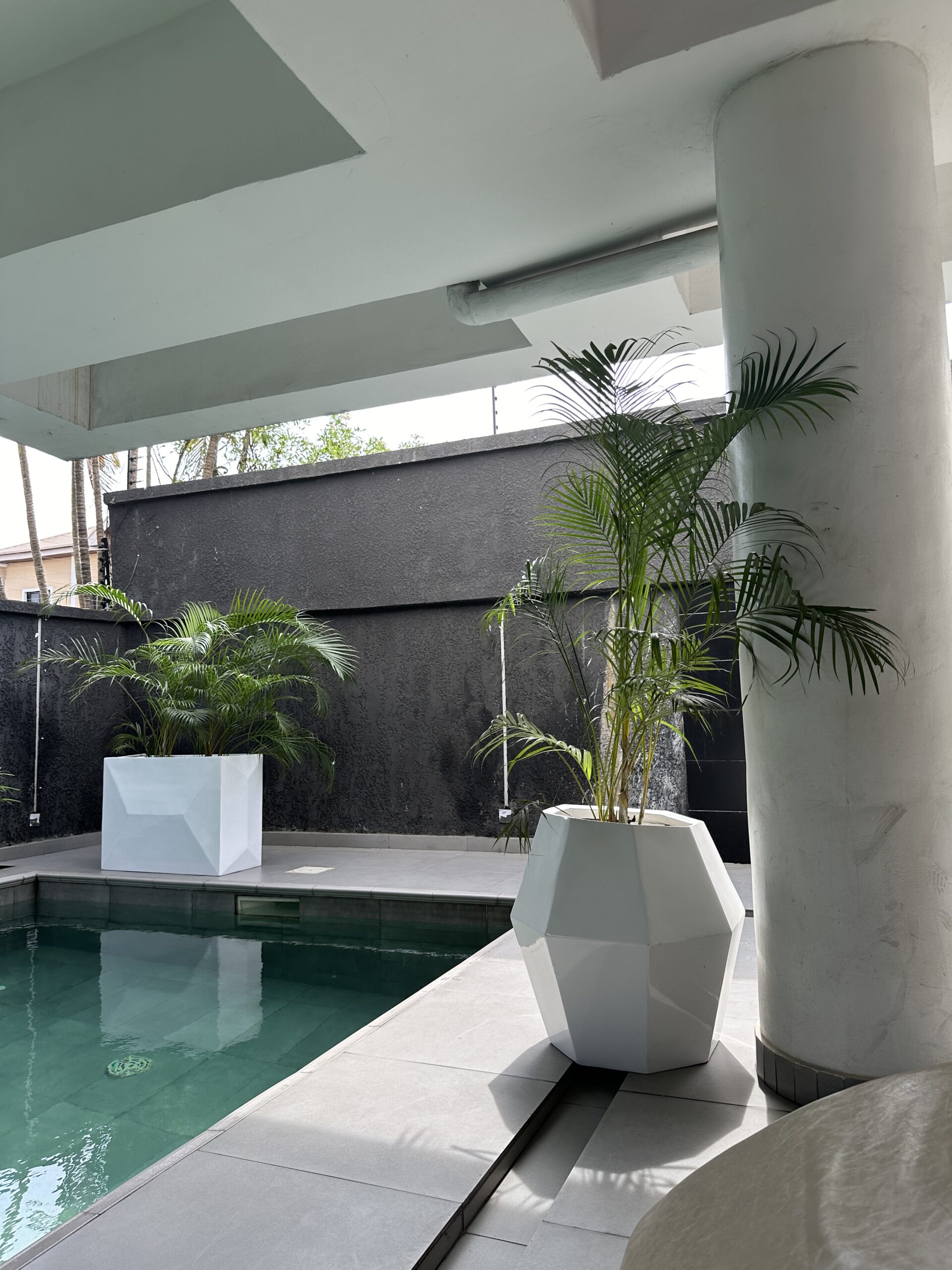 How to use planters for natural plants in Nigeria