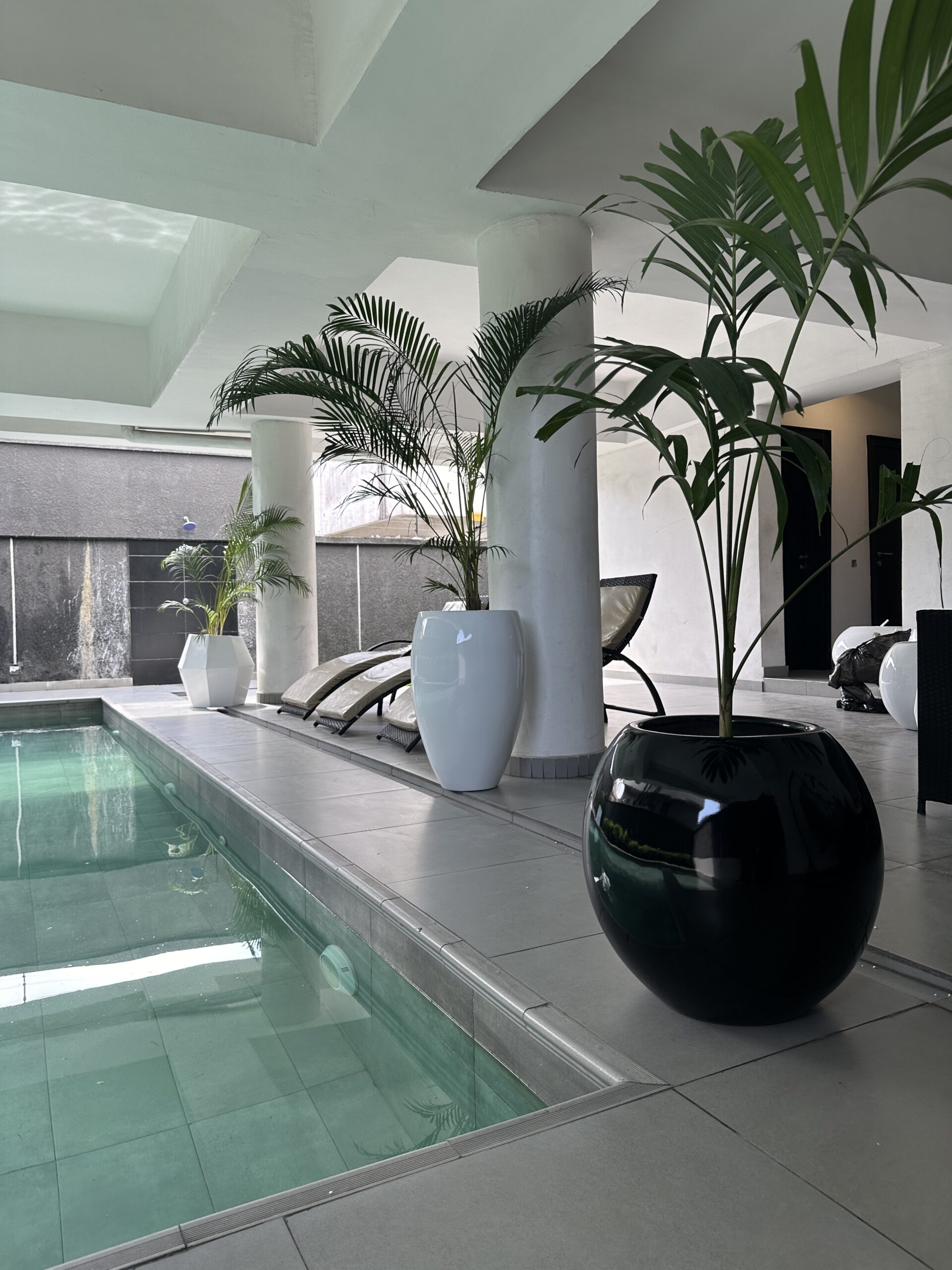How to use your planters for natural plants