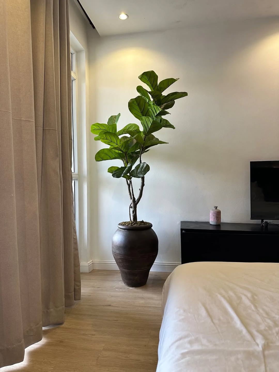 Tall artificial plant at the hallway