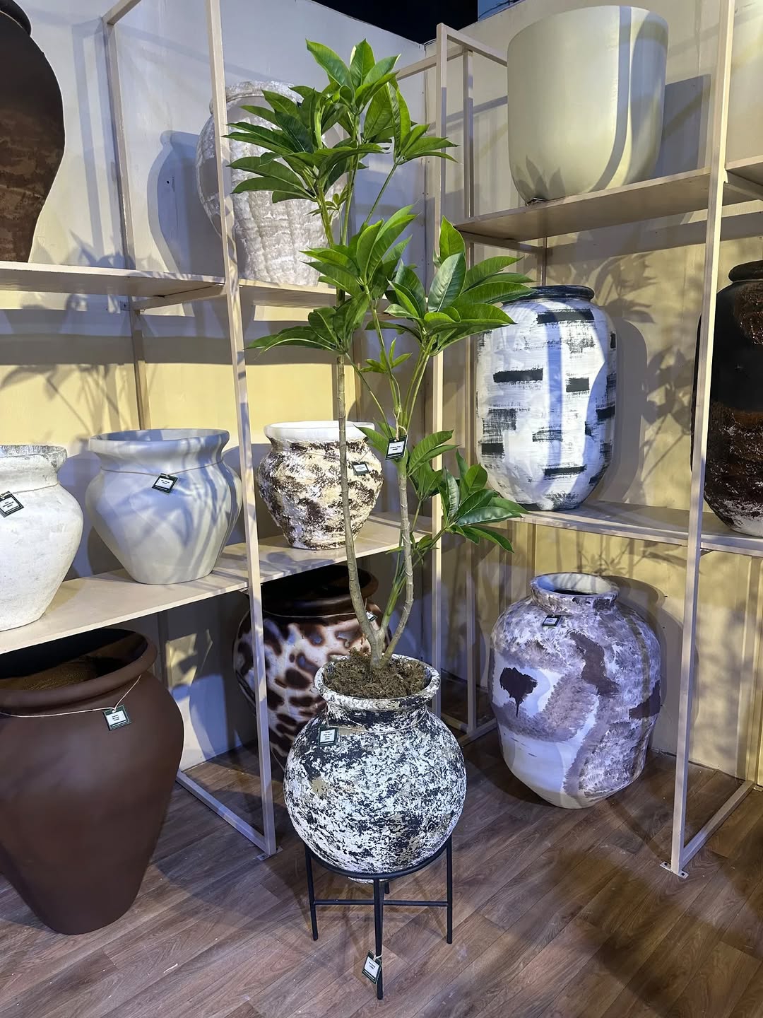 Aradel Pot paired with Fortune Tree at Design Week Lagos 2025 by Oriental Effect