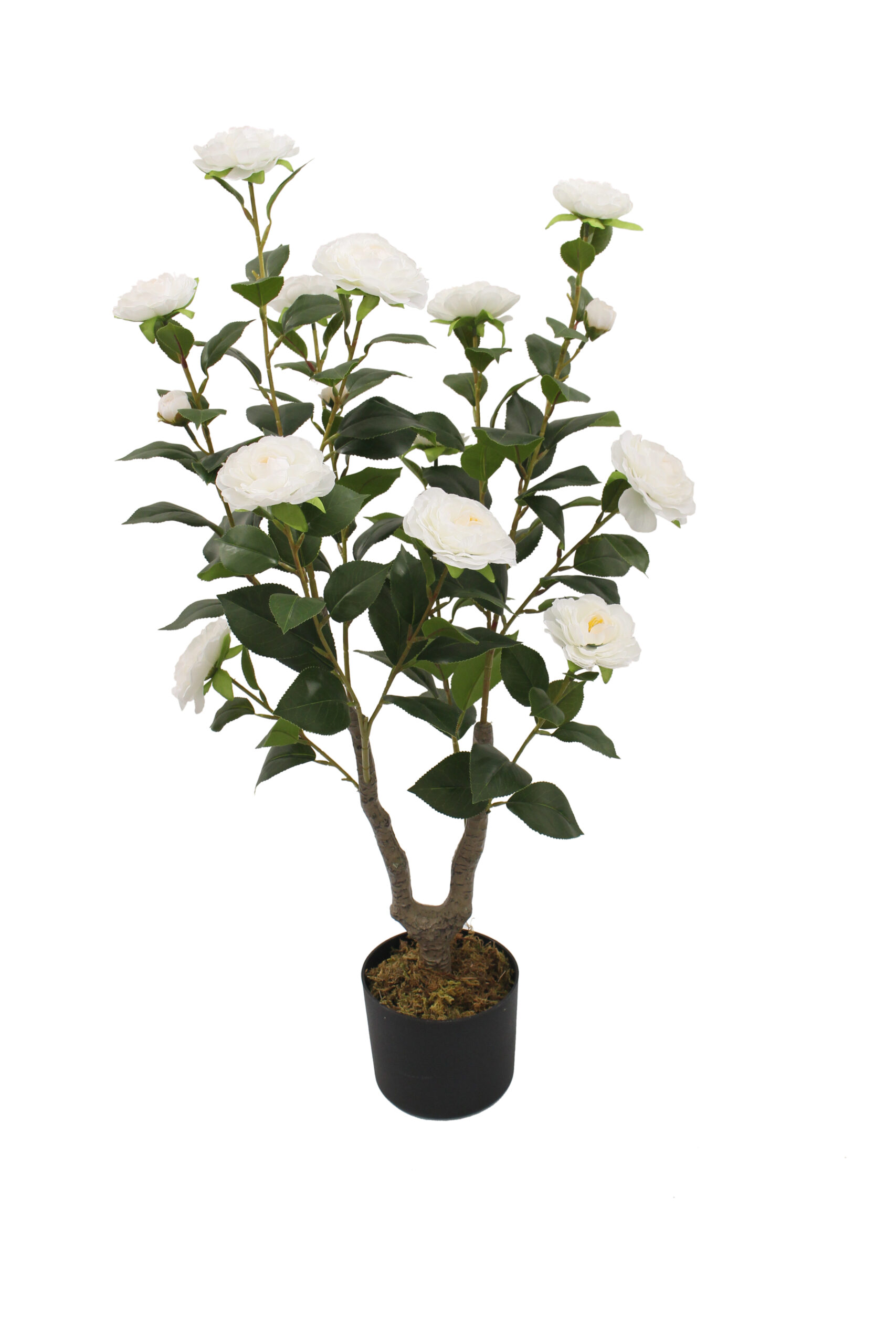 Camelia Artificial Plant - 90cm