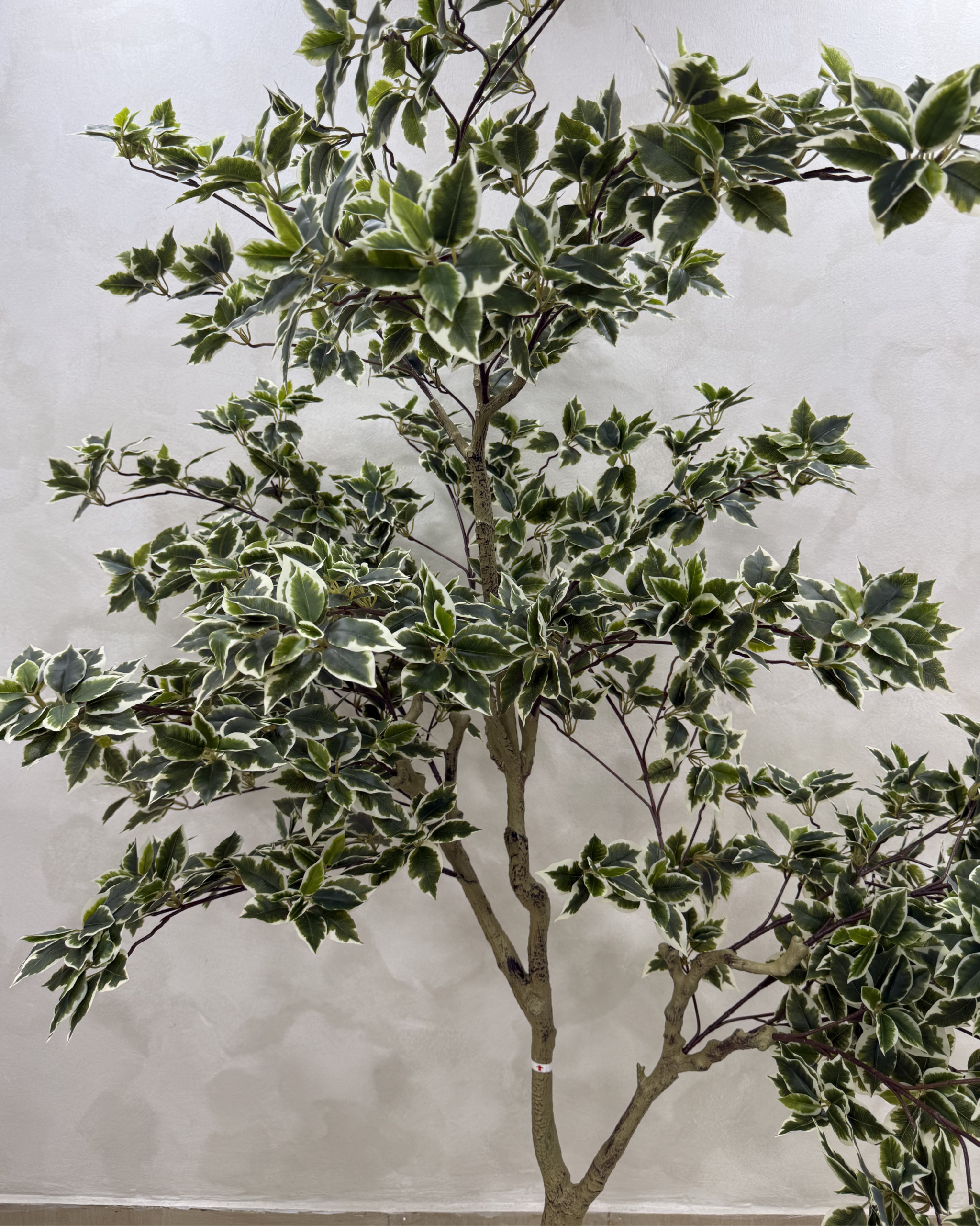 Artificial Plant Store in Lagos