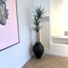 Slim Yucca Tree with Matte Black Ampora Pot