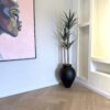 Slim Yucca Tree with Matte Black Ampora Pot