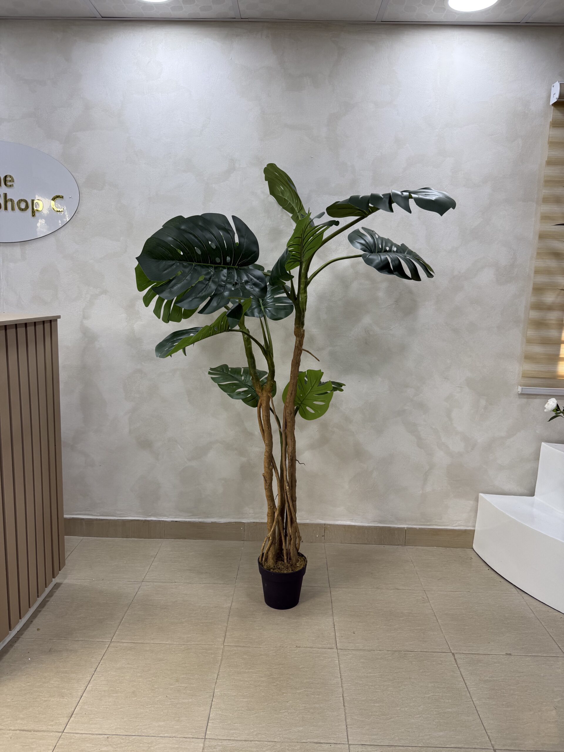 Artificial Turtle Monstera Plant - 190cm