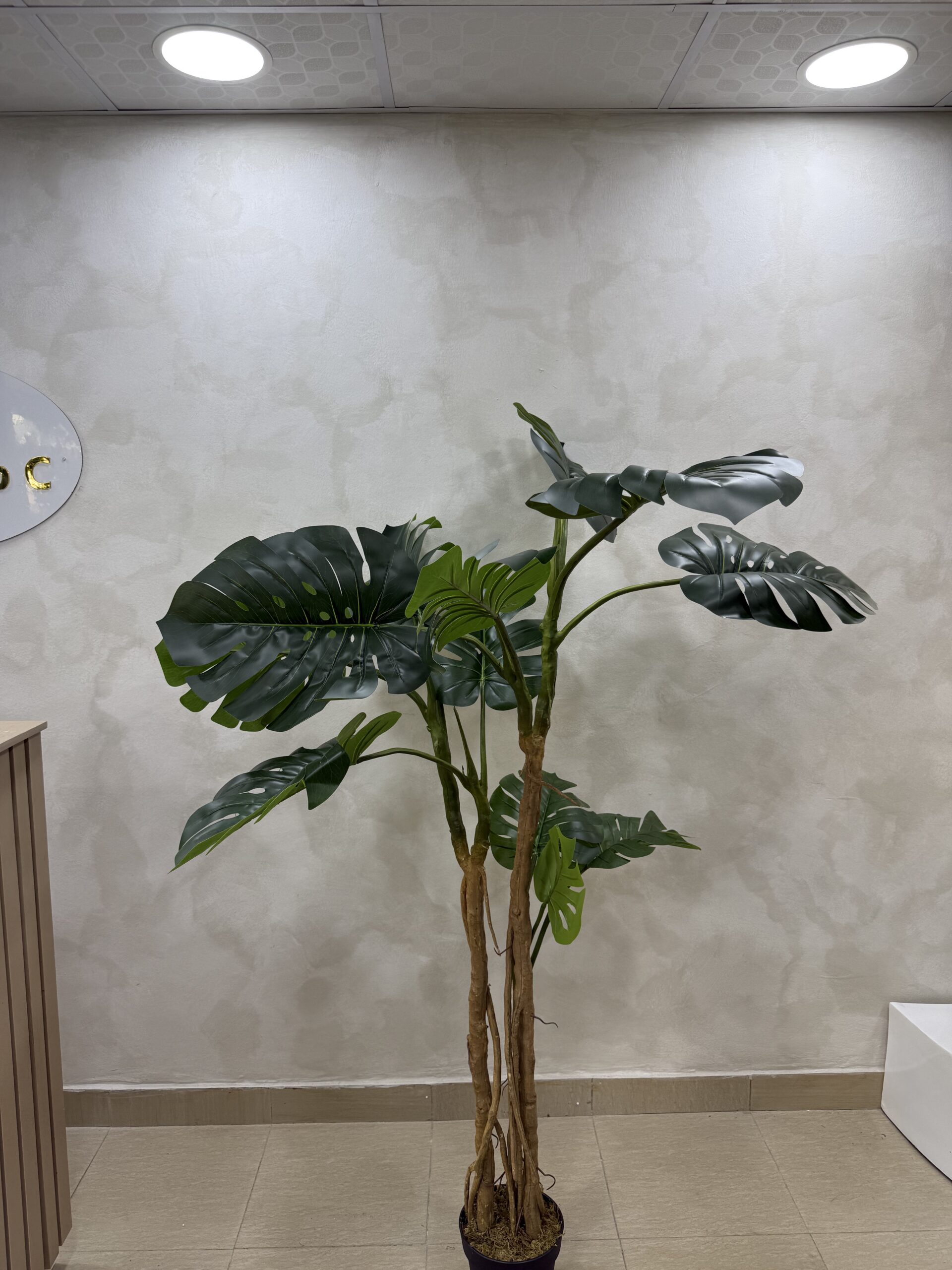 Artificial Turtle Monstera Plant - 190cm