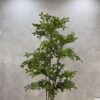 Artificial Pumila Life-like Tree - 180cm