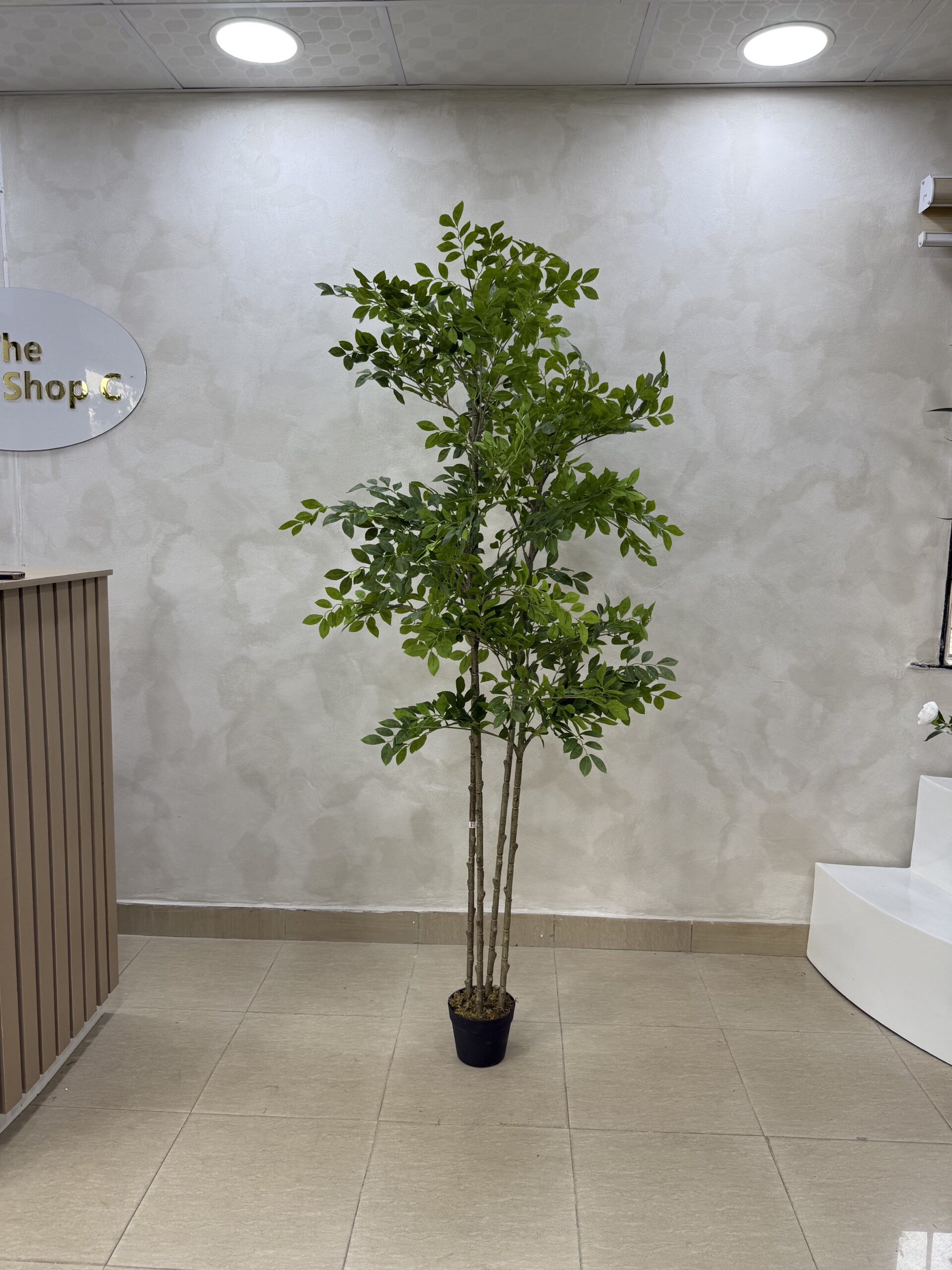 Artificial Pumila Life-like Tree - 180cm