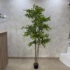 Artificial Pumila Life-like Tree - 180cm
