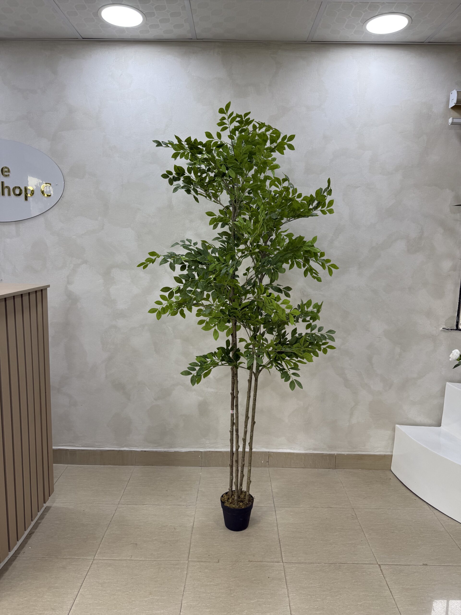 Artificial Pumila Life-like Tree - 180cm