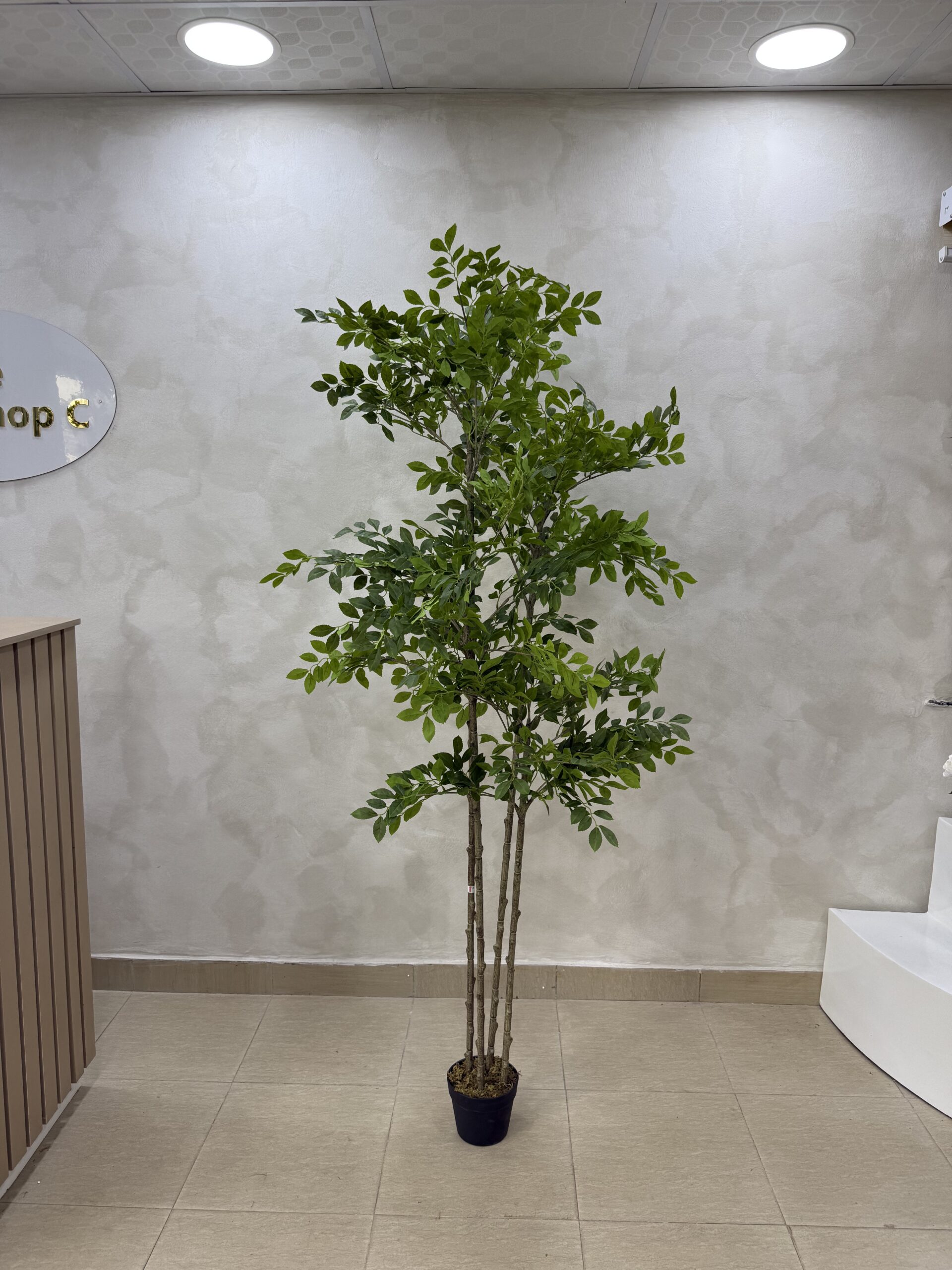 Artificial Pumila Life-like Tree - 180cm
