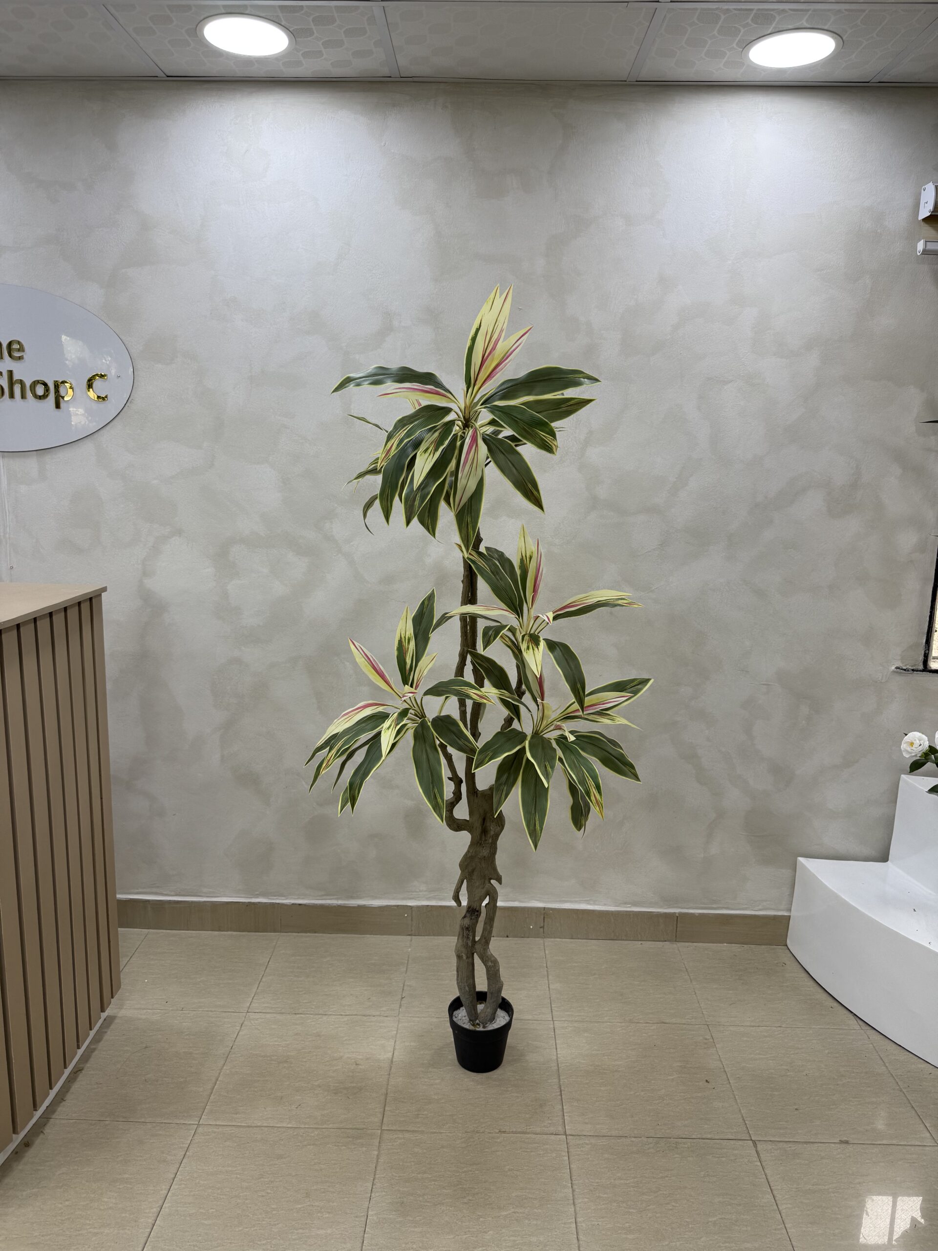 Artificial Taro Life-like Realistic Tree - 180cm