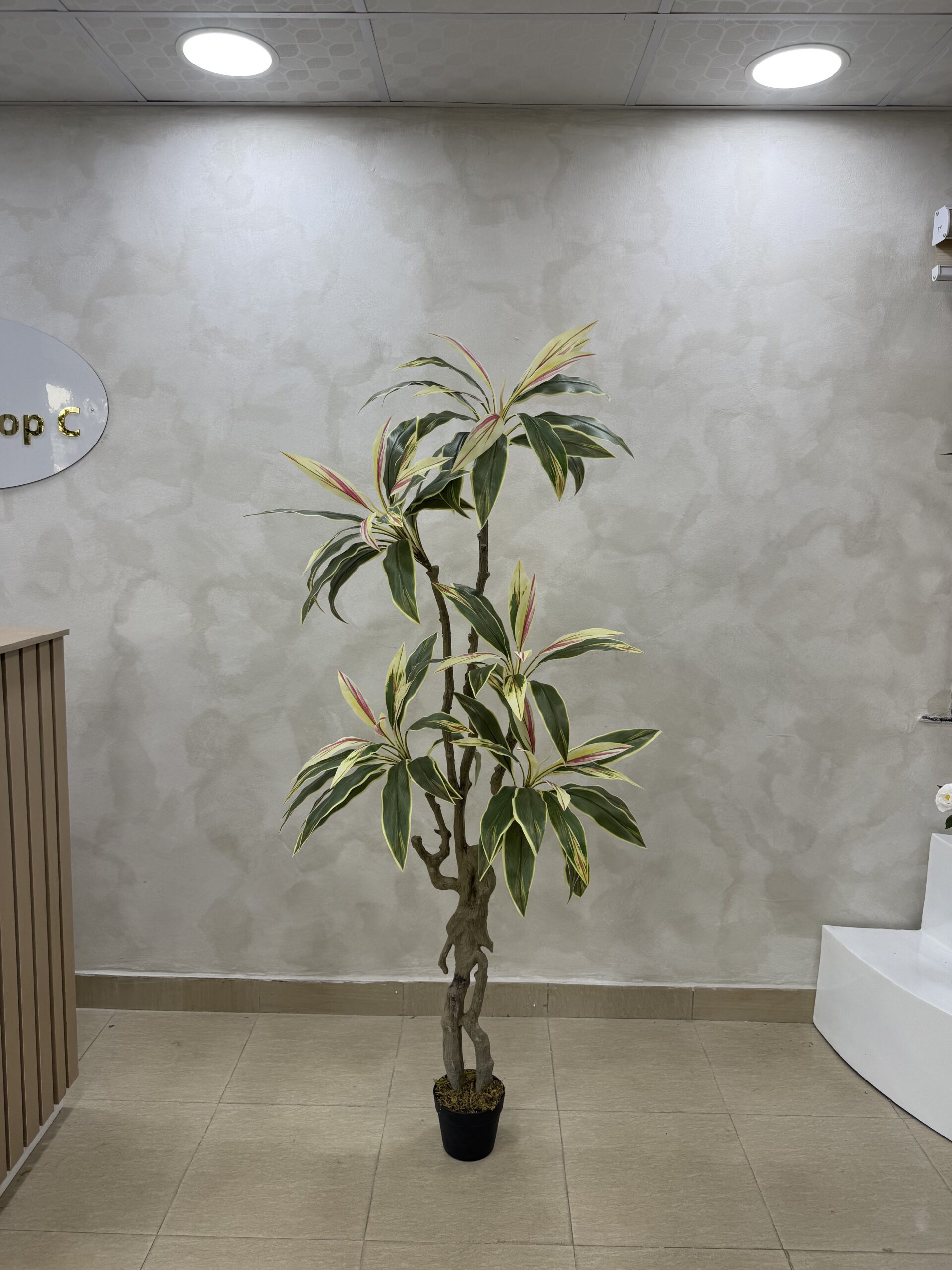Artificial Taro Life-like Realistic Tree - 180cm