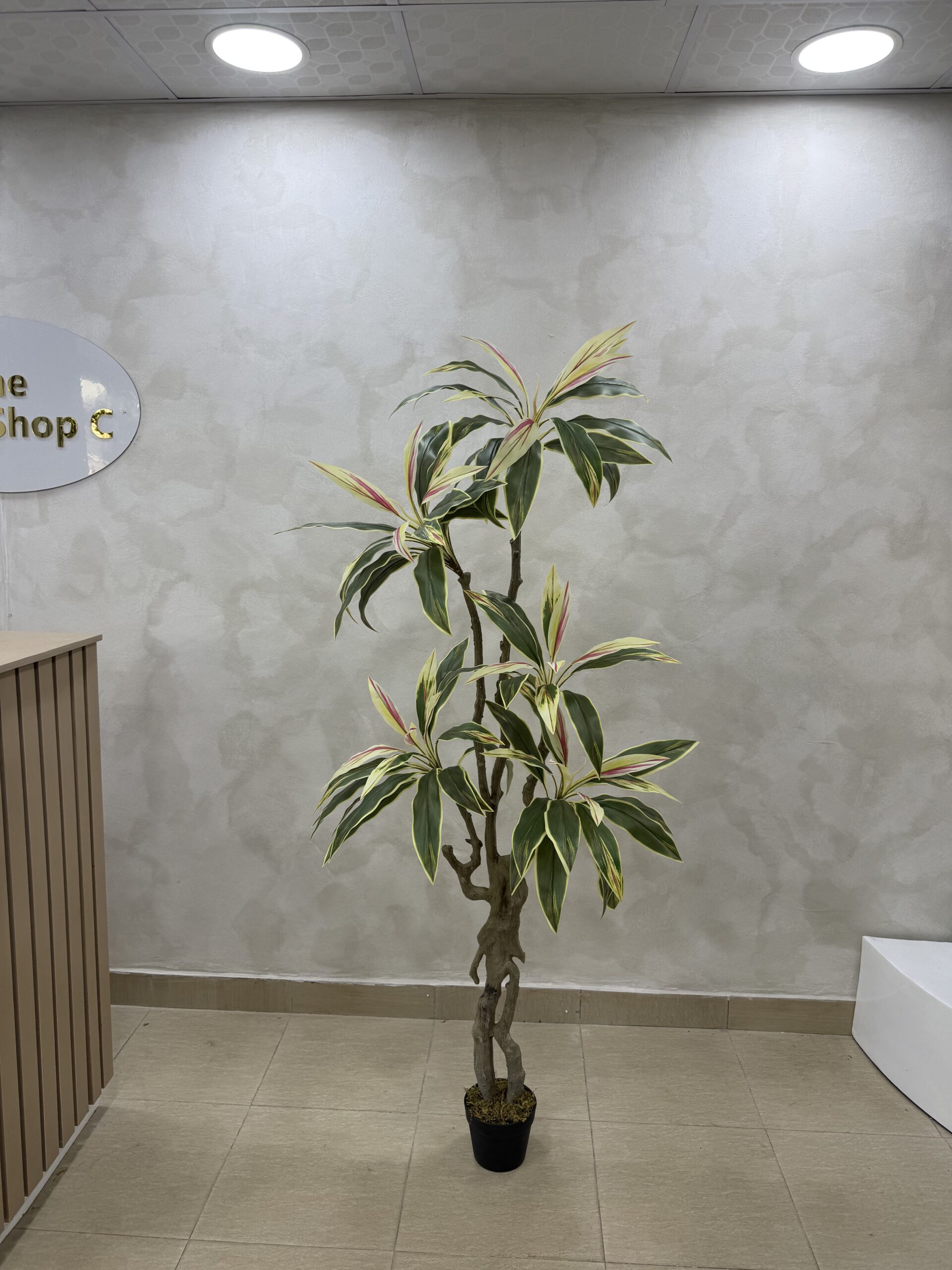 Artificial Taro Life-like Realistic Tree - 180cm