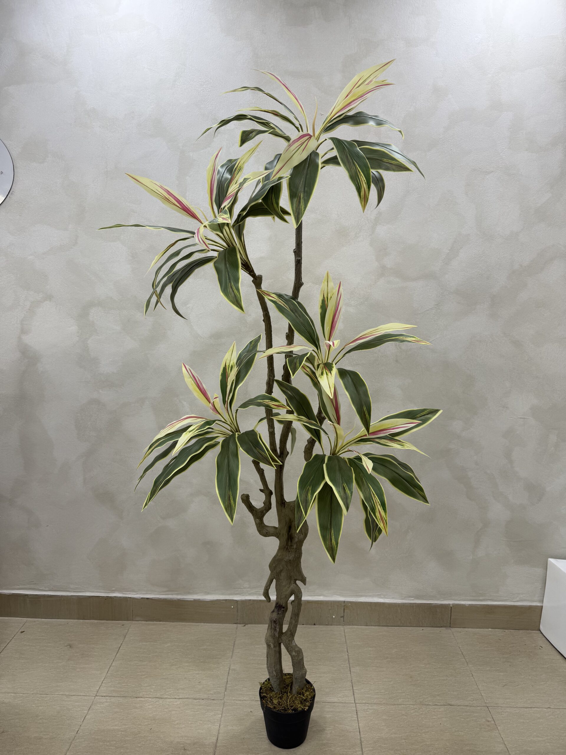 Artificial Taro Life-like Realistic Tree - 180cm