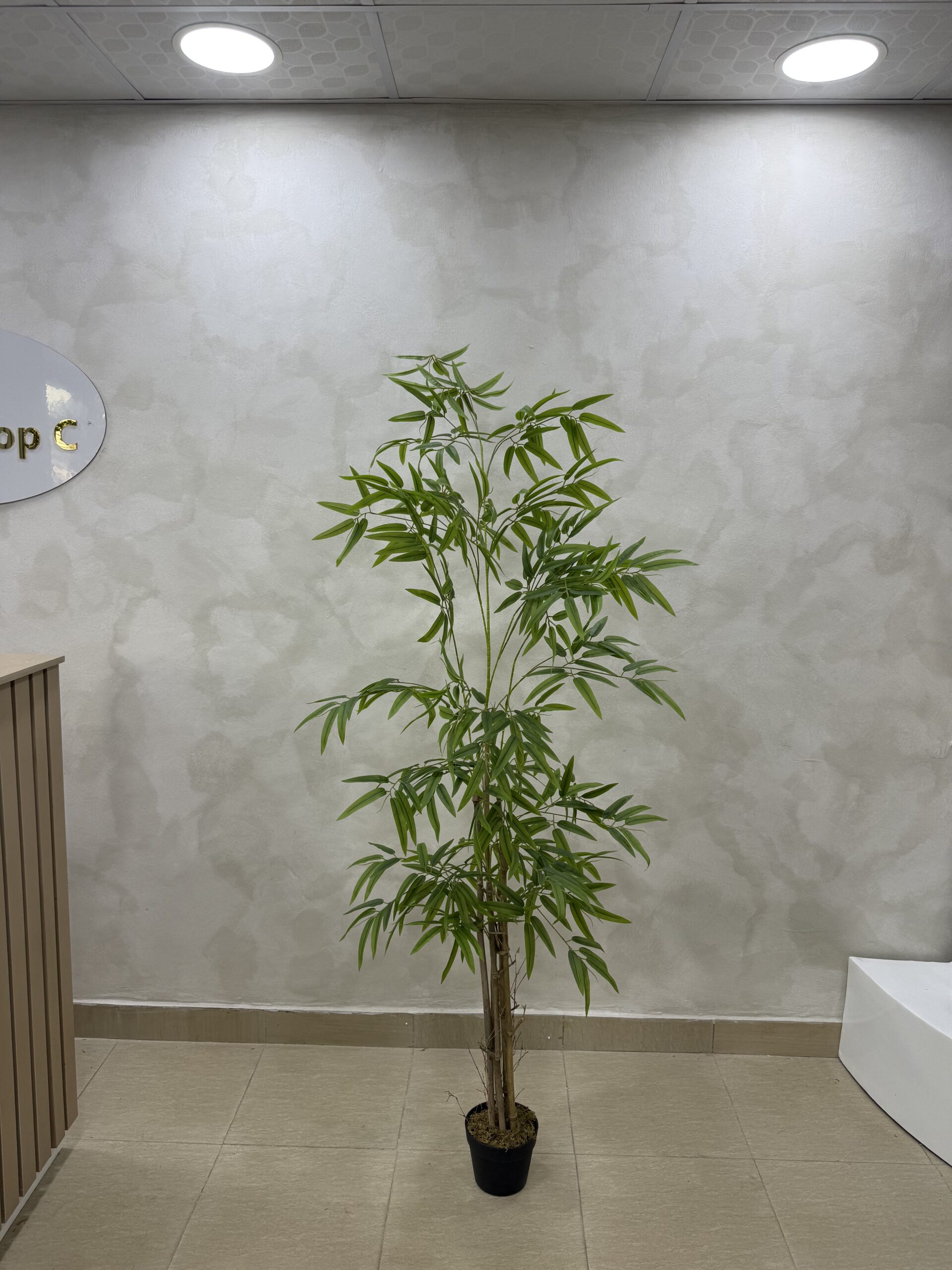 Artificial Life-like Realistic New Bamboo Tree - 180cm