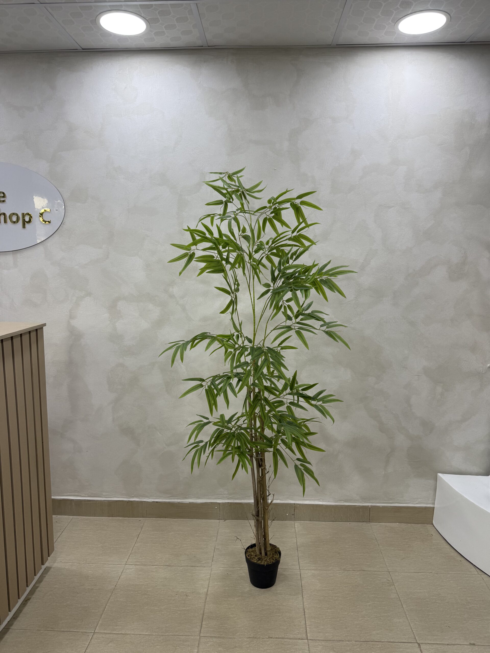 Artificial Life-like Realistic New Bamboo Tree - 180cm