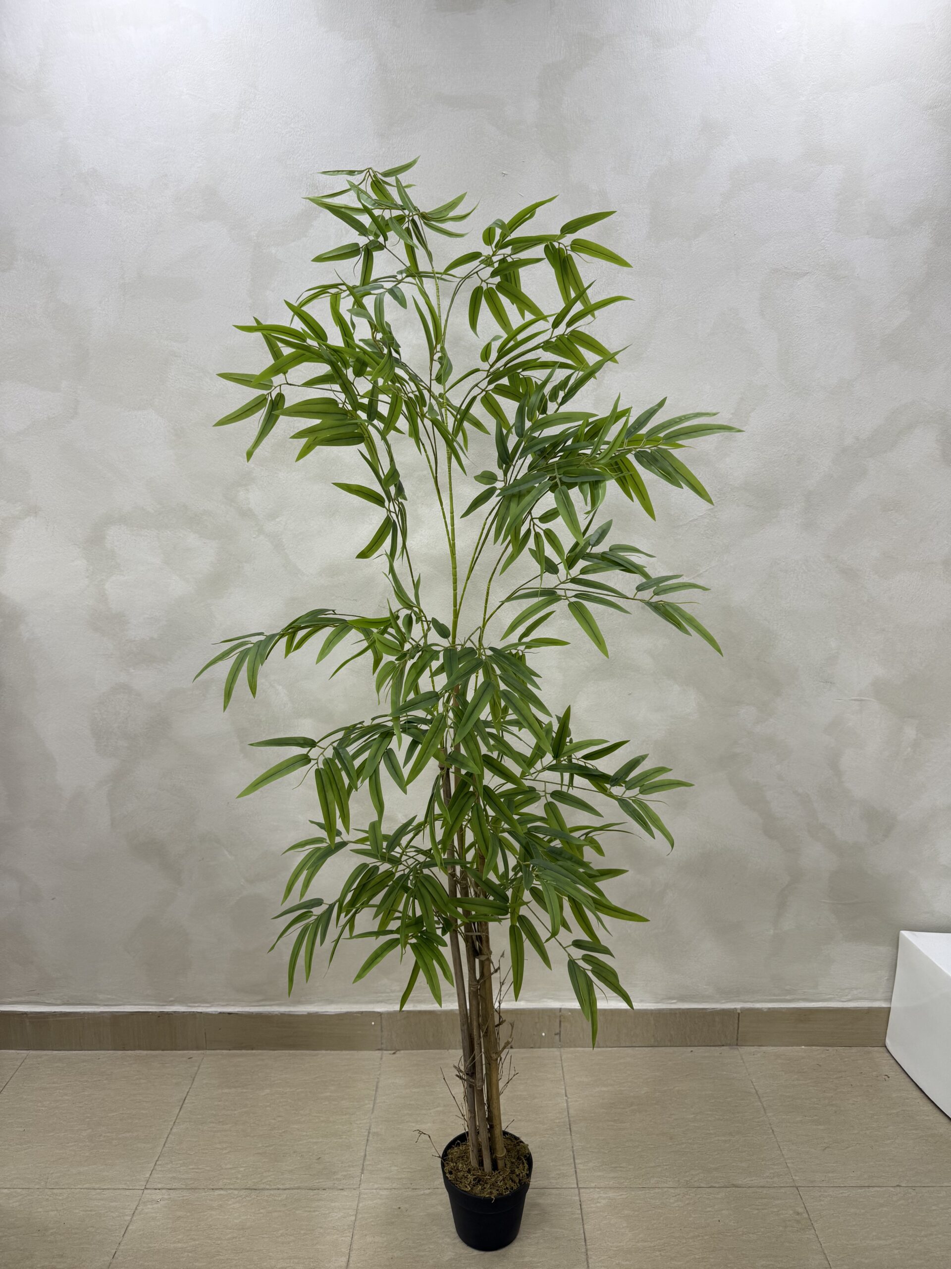 Artificial Life-like Realistic New Bamboo Tree - 180cm