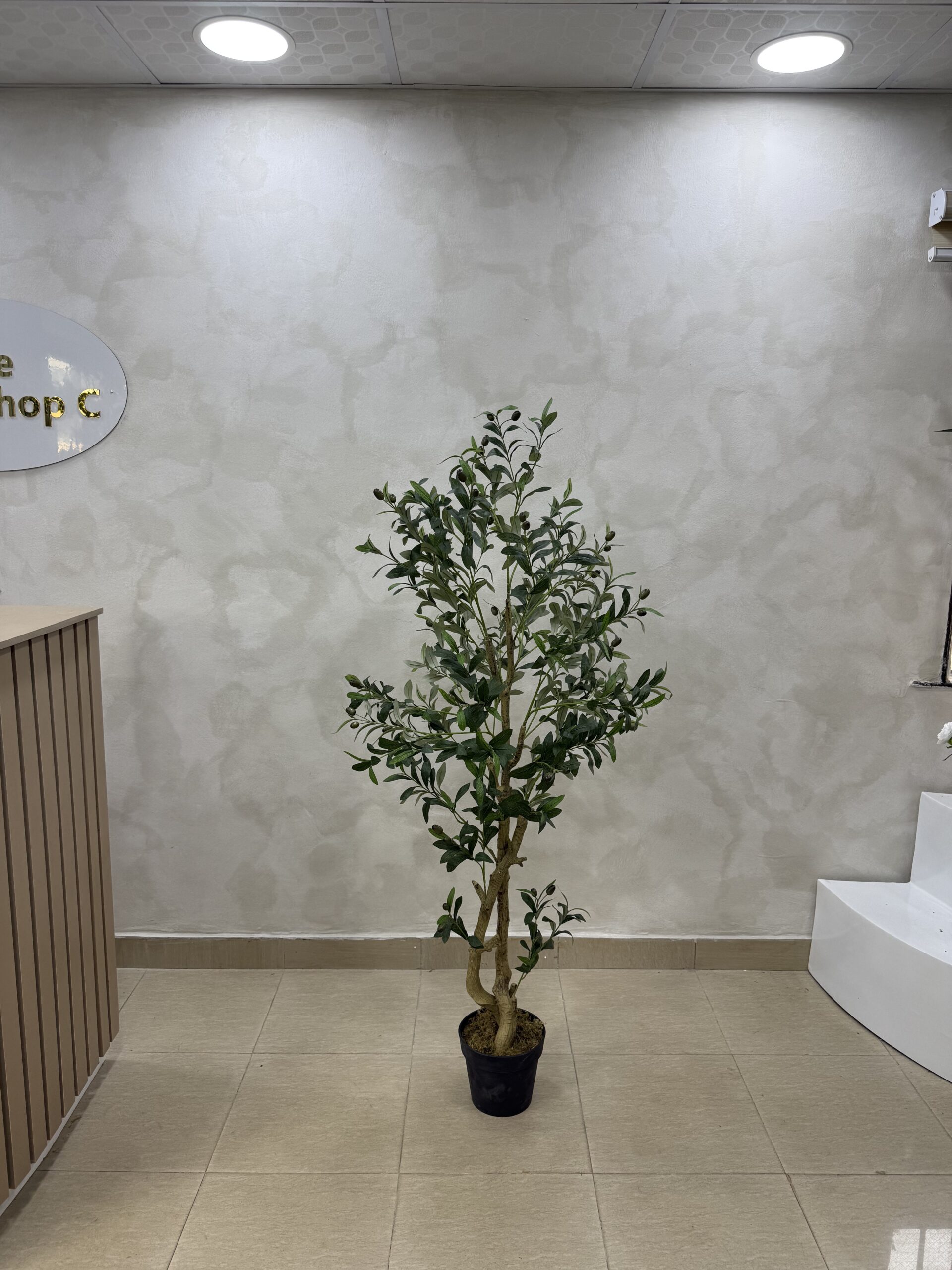 Artificial Life-like Realistic Twisted Olive Tree  - 150cm