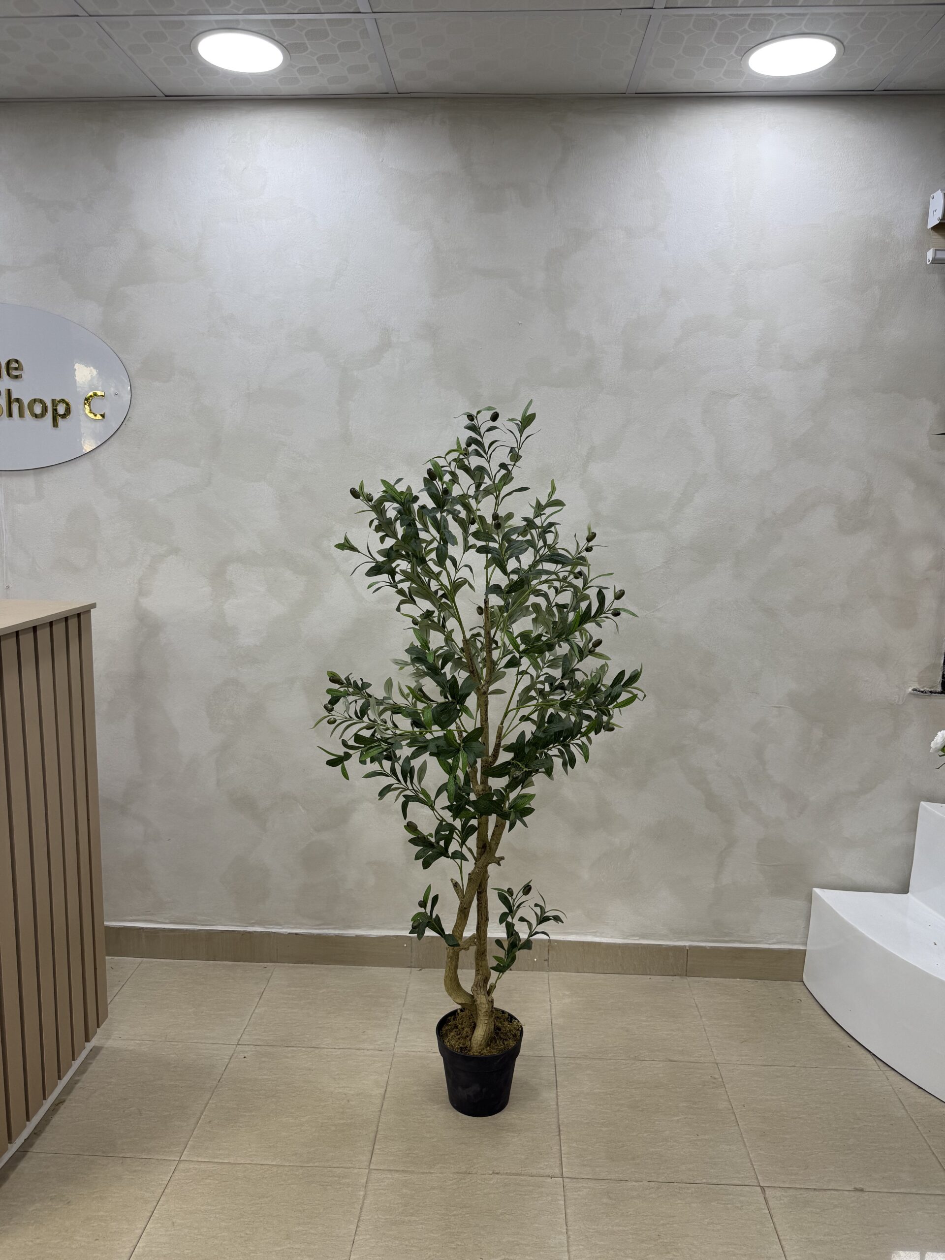 Artificial Life-like Realistic Twisted Olive Tree  - 150cm