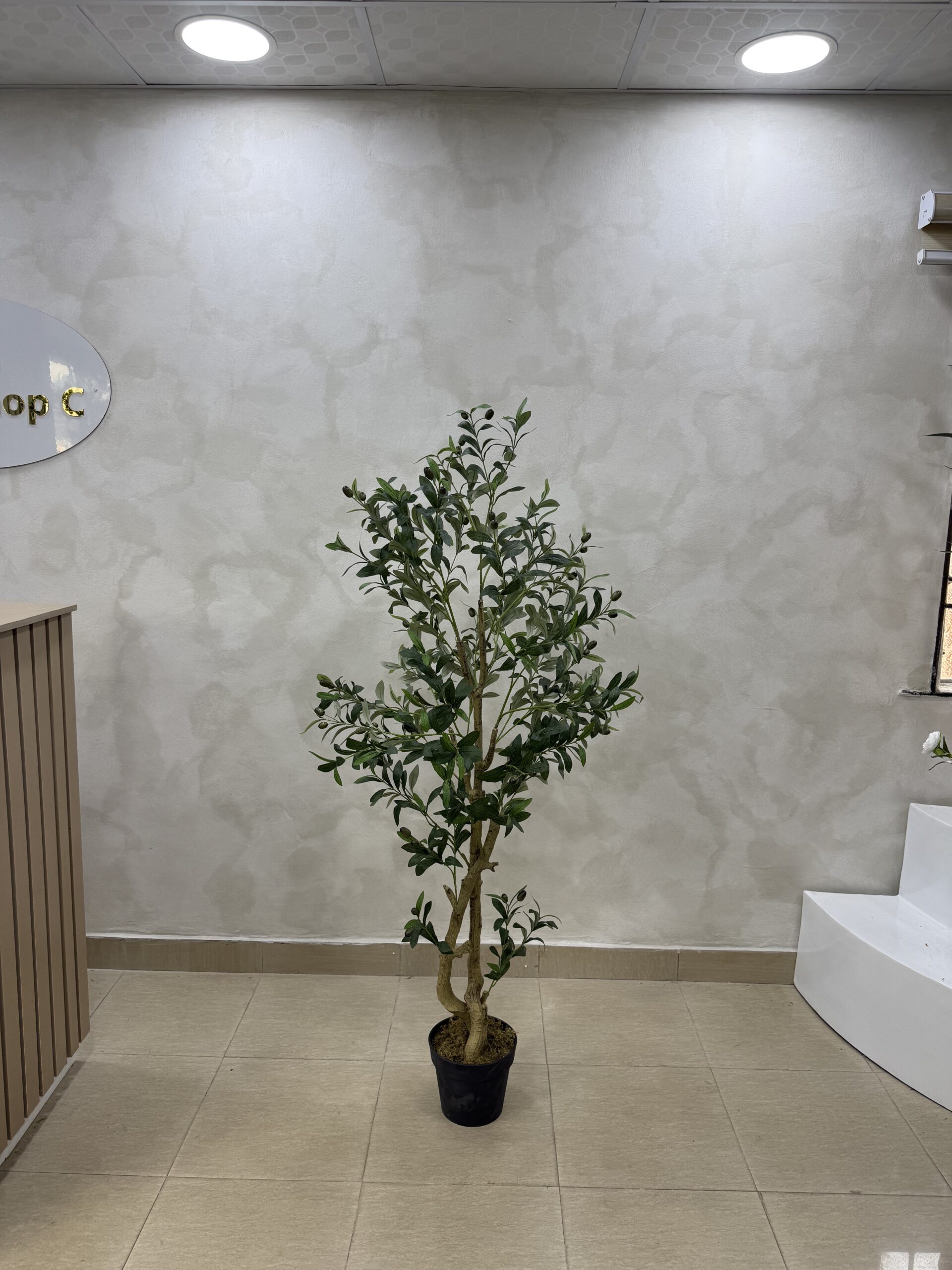 Artificial Life-like Realistic Twisted Olive Tree  - 150cm