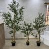 Artificial Life-like Realistic Twisted Olive Trees  - 201cm, 150cm, 120cm