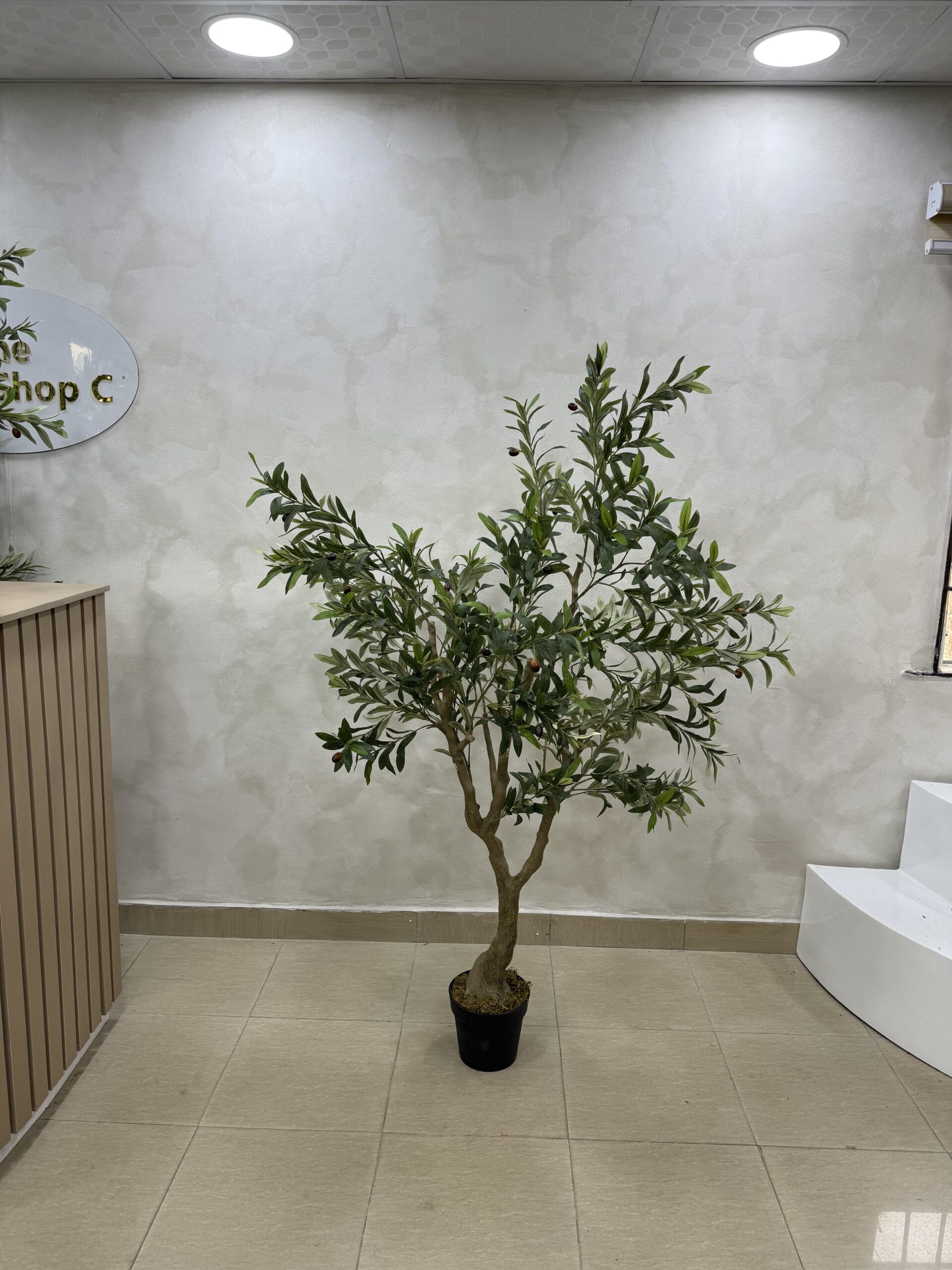 Olive Trees - Artificial Life-like Wide Olive Trees  - 180cm