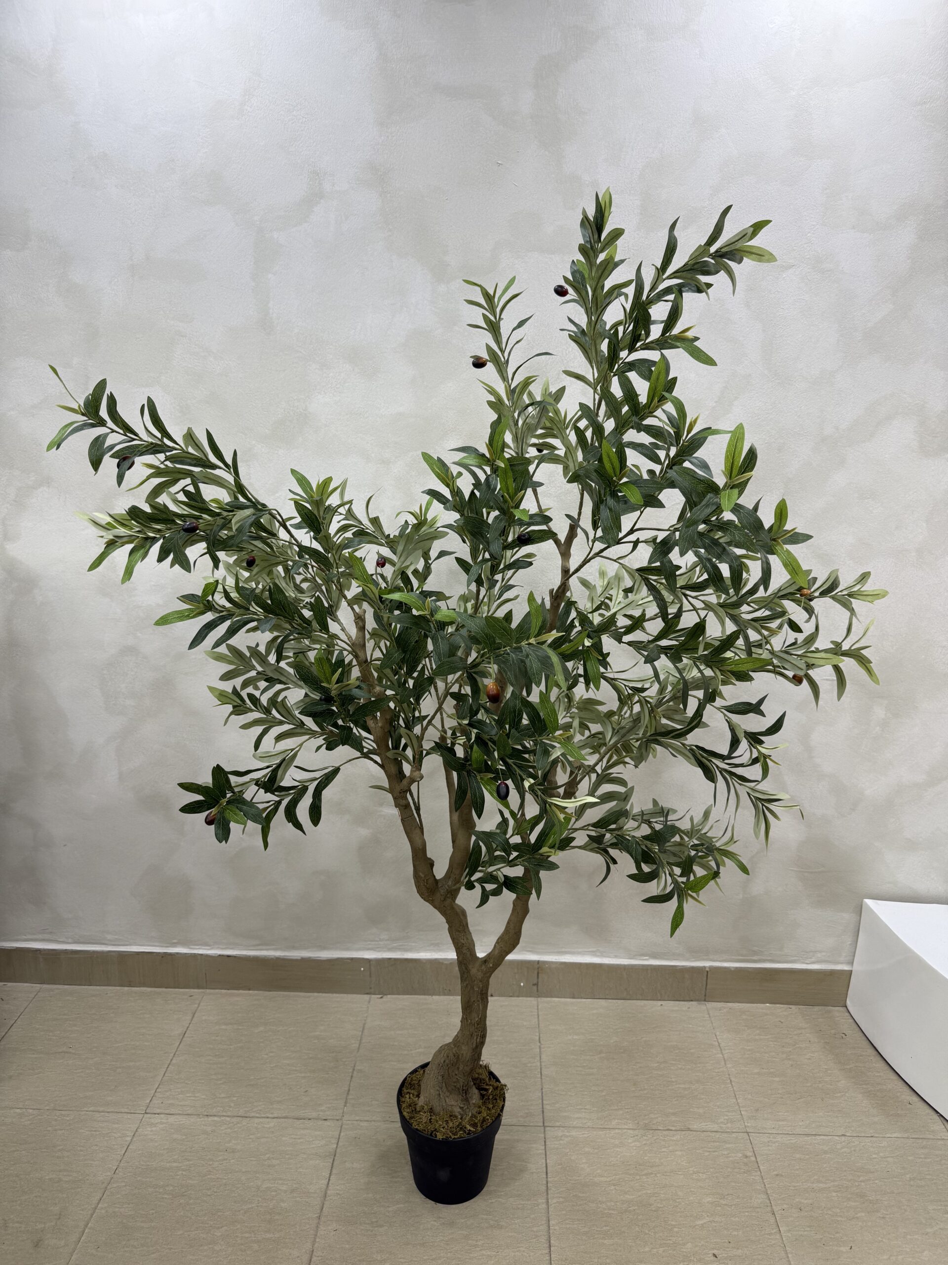 Olive Trees - Artificial Life-like Wide Olive Trees  - 180cm