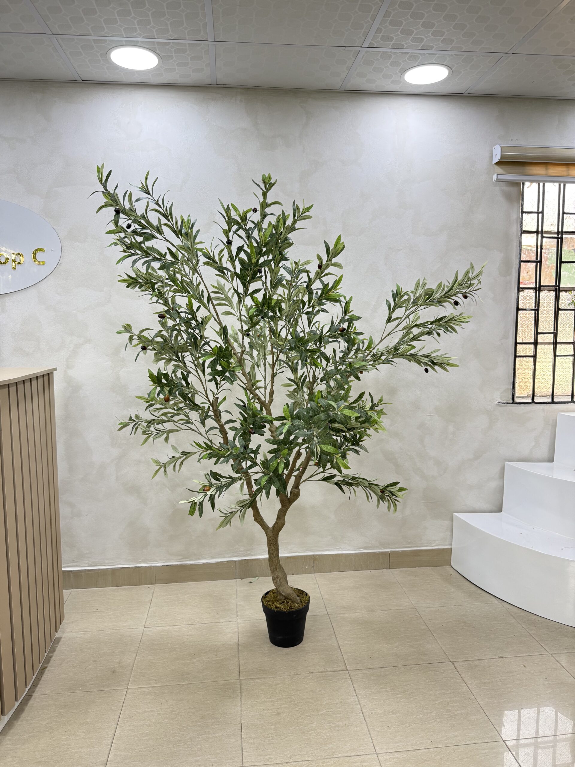 Olive Trees - Artificial Life-like Wide Olive Trees  - 210cm