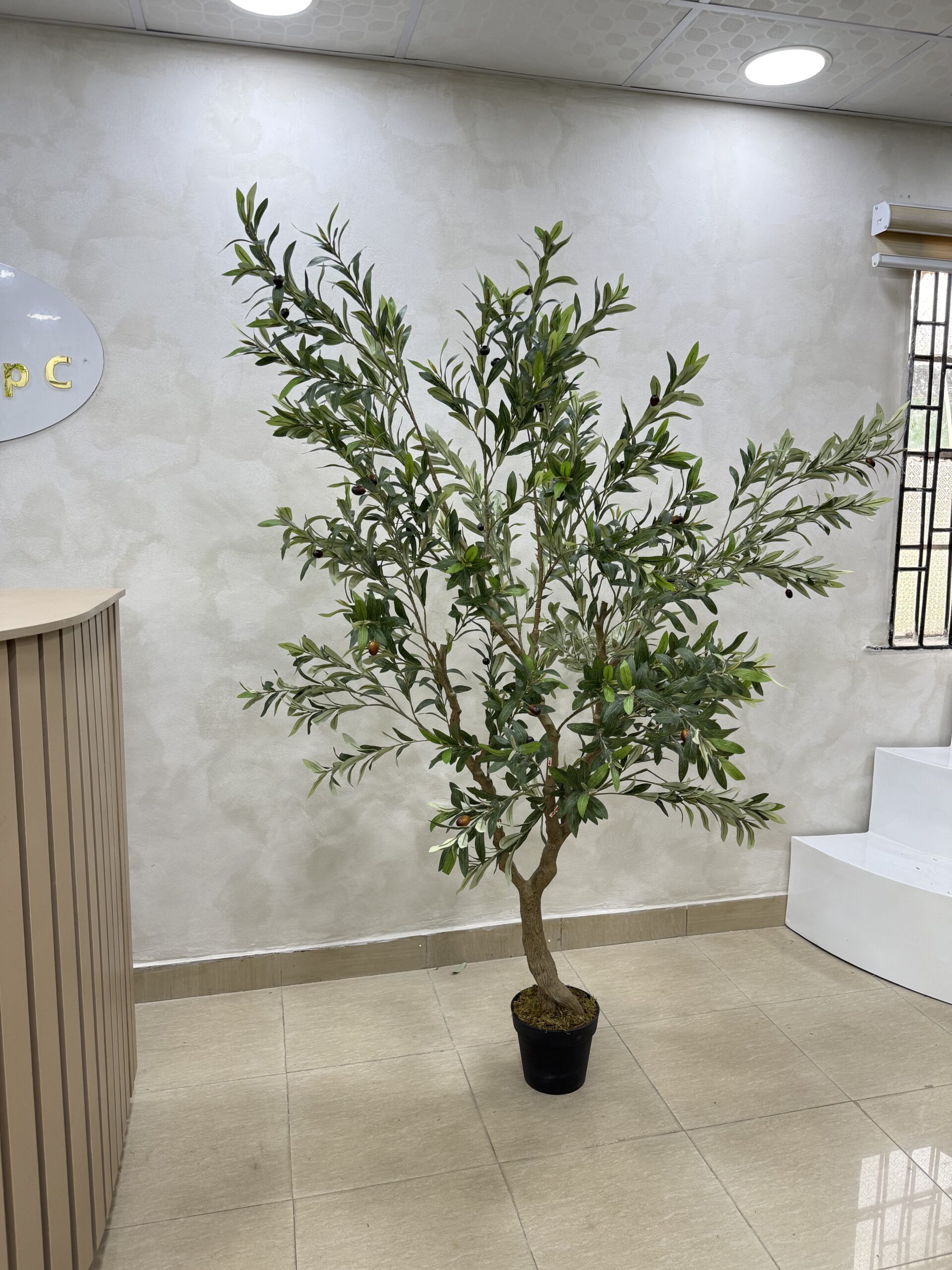 Olive Trees - Artificial Life-like Wide Olive Trees  - 210cm