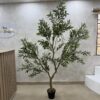 IMG_0684 Olive Trees - Artificial Life-like Wide Olive Trees - 240cm