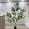 IMG_0686 Olive Trees - Artificial Life-like Wide Olive Trees - 240cm