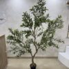 IMG_0687 Olive Trees - Artificial Life-like Wide Olive Trees - 240cm