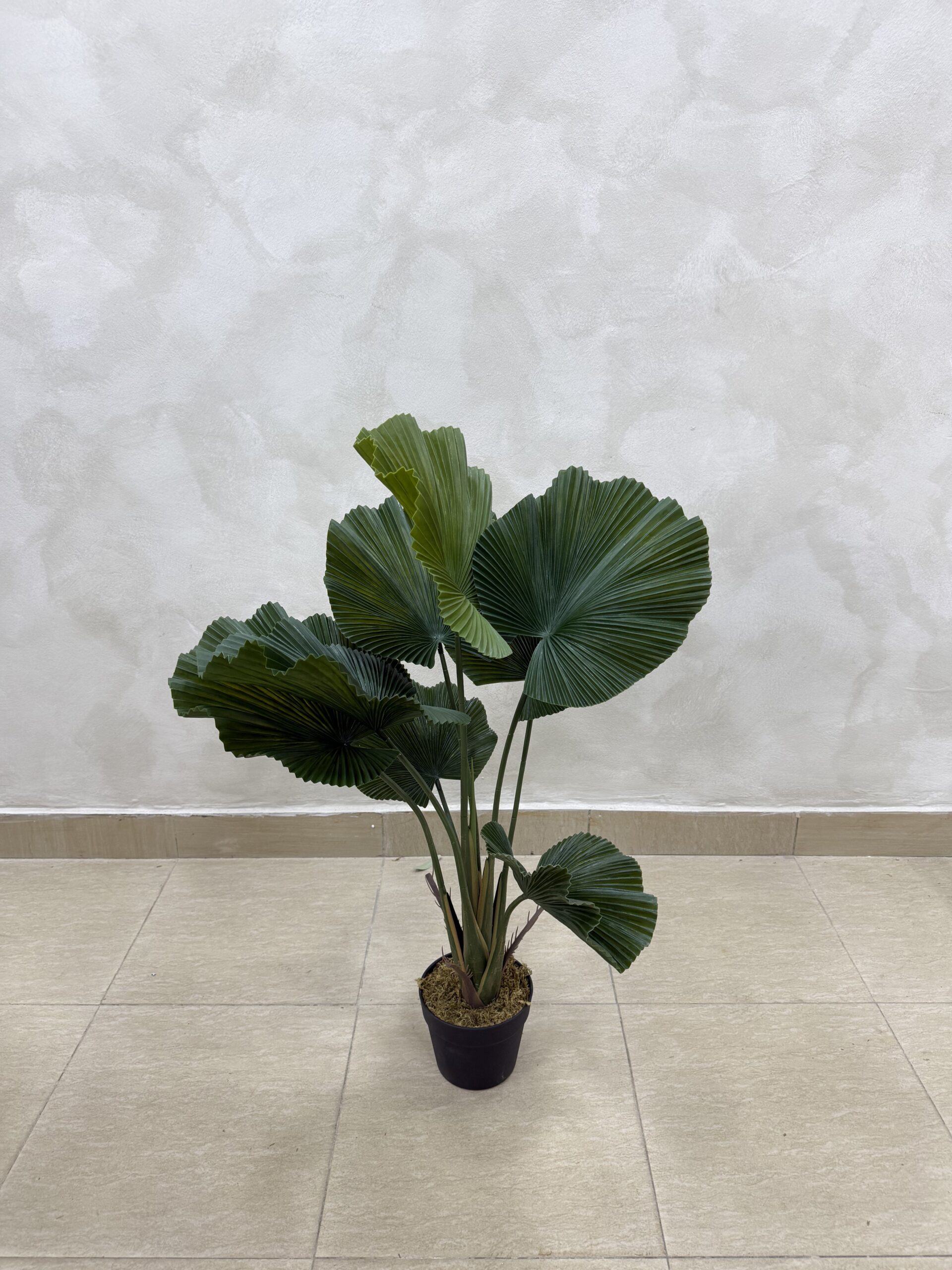 Artificial Plant - Fan Palm   - 90cm