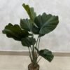 Artificial Plant - Fan Palm   - 90cm