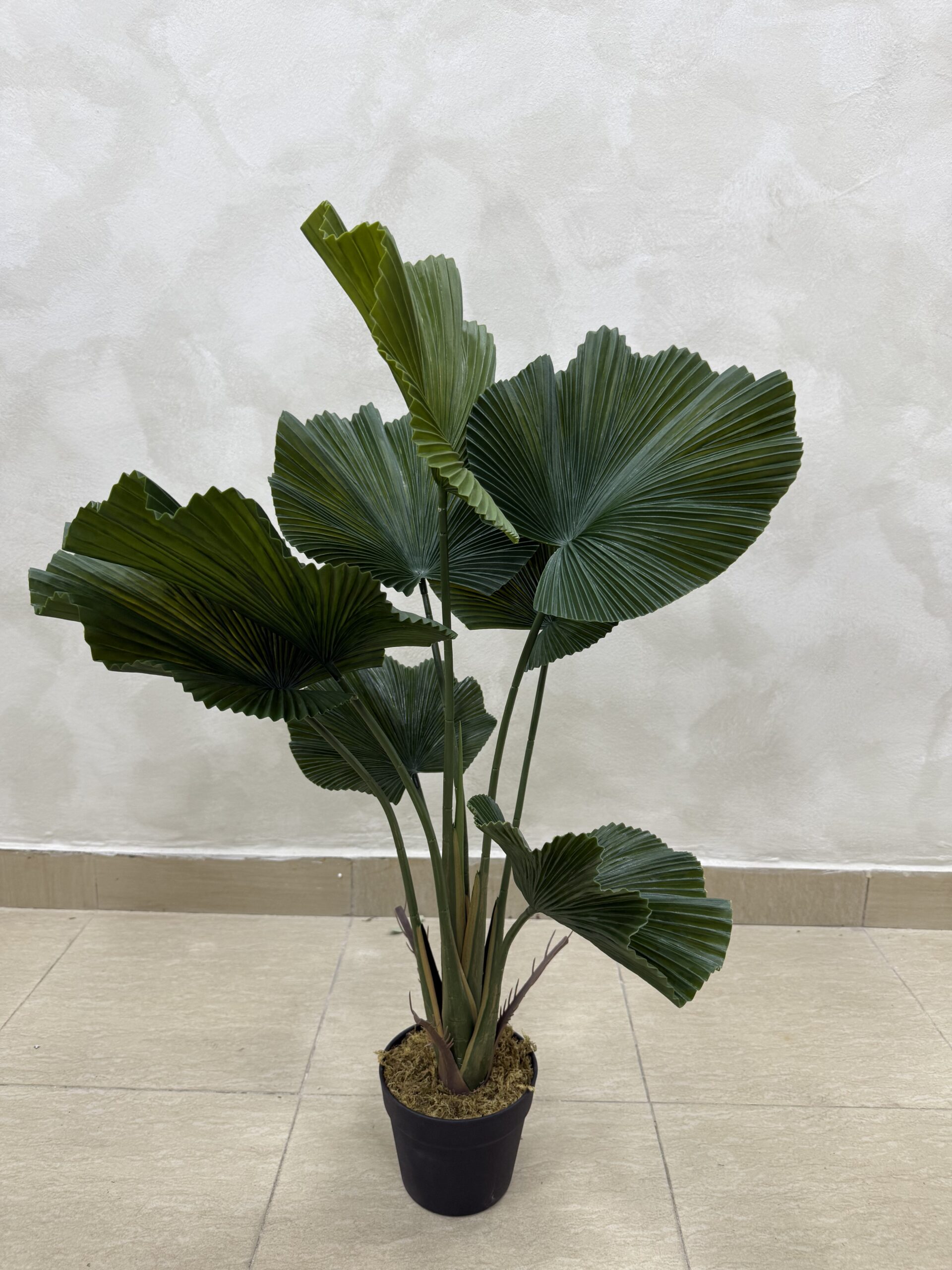 IMG_0699 Artificial Plant - Fan Palm - 90cm