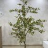 Artificial Plant - Osman Tree  - 200cm