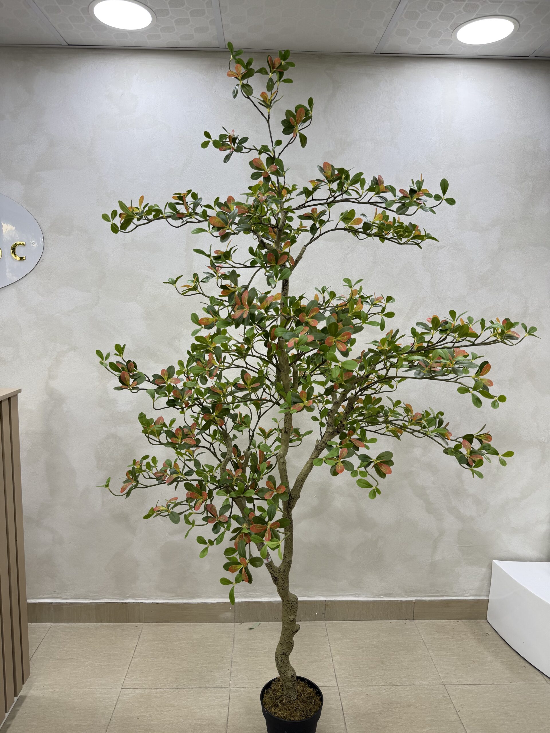 Artificial Plant - Osman Tree  - 200cm