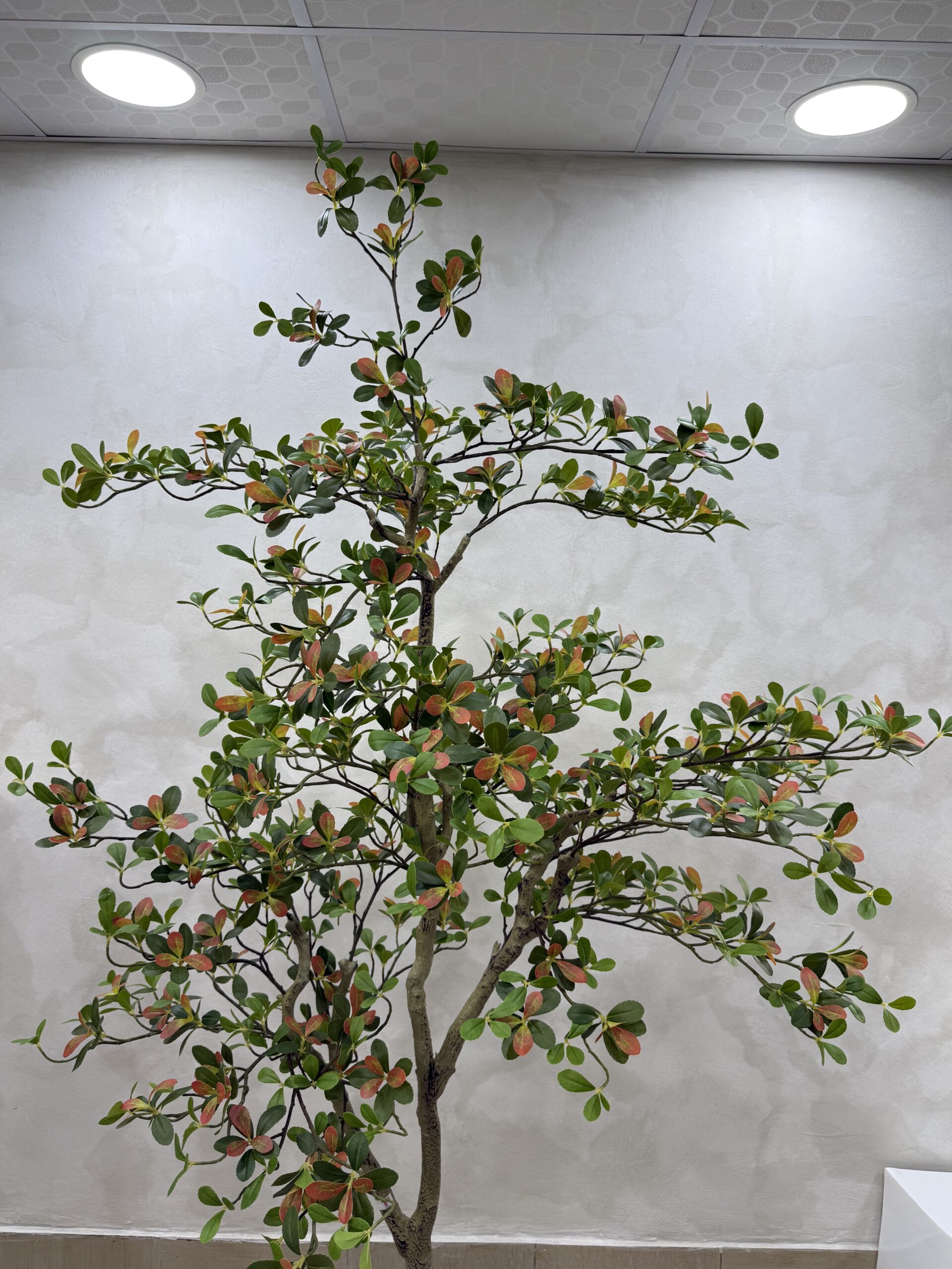 Artificial Plant - Osman Tree  - 200cm