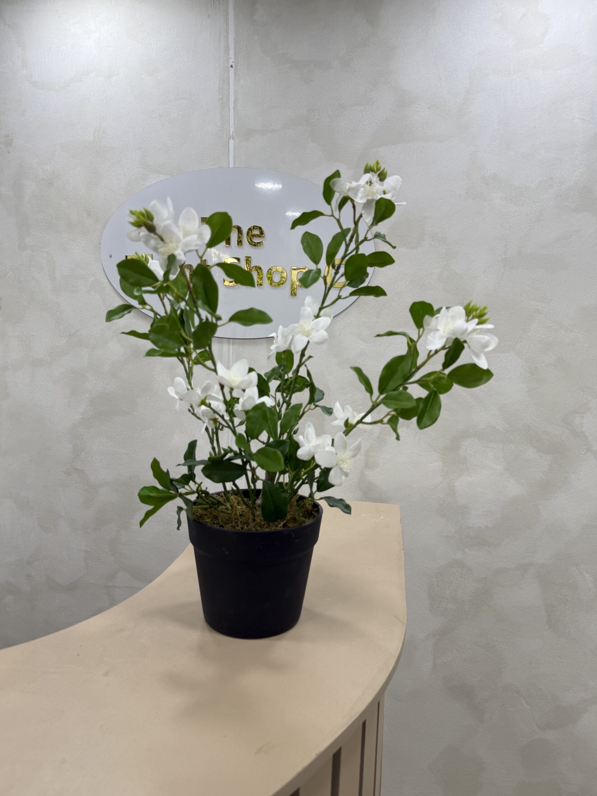 Artificial Plant - Mini Gardenia  - 55cm