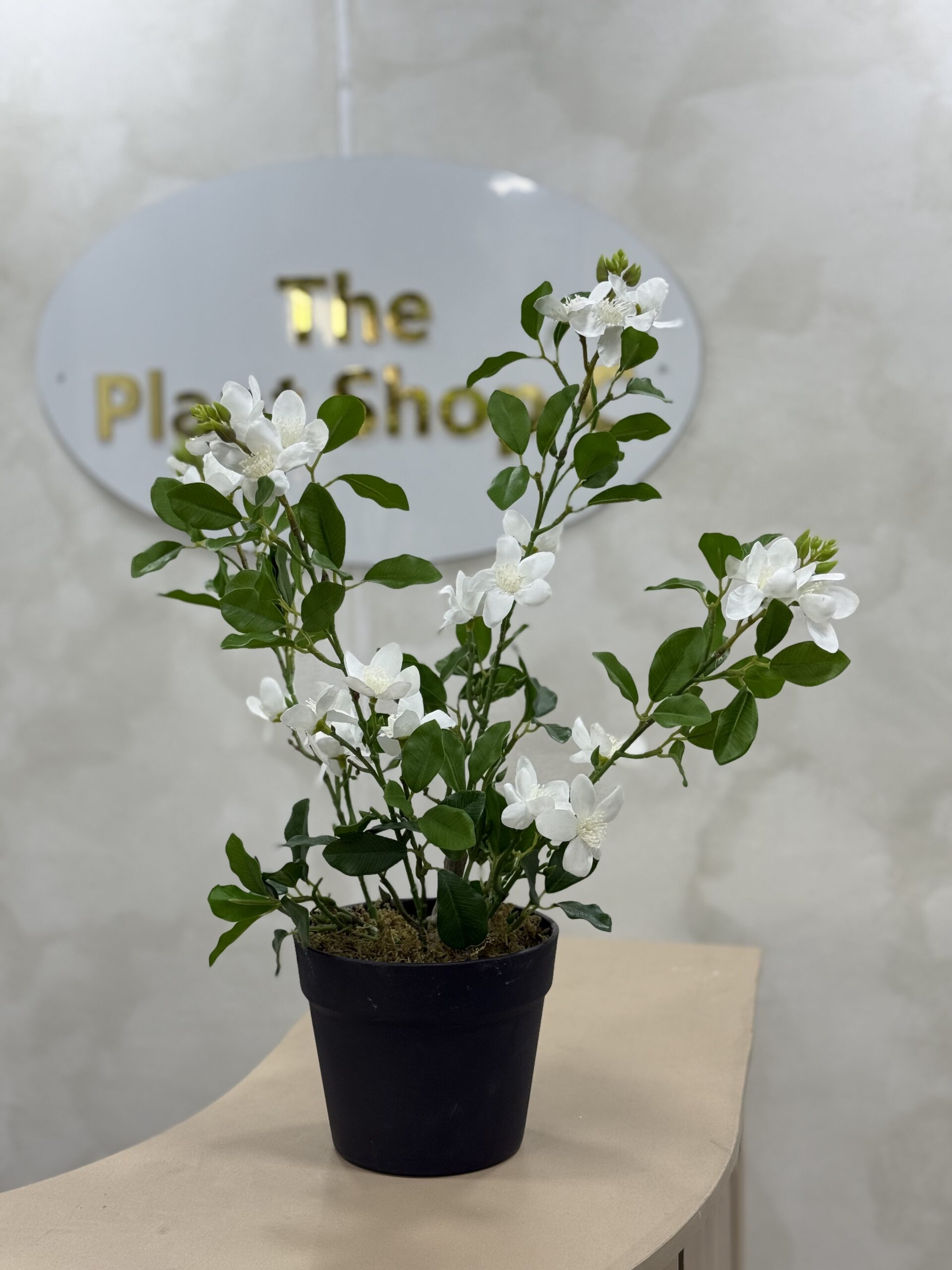 Artificial Plant - Mini Gardenia  - 55cm