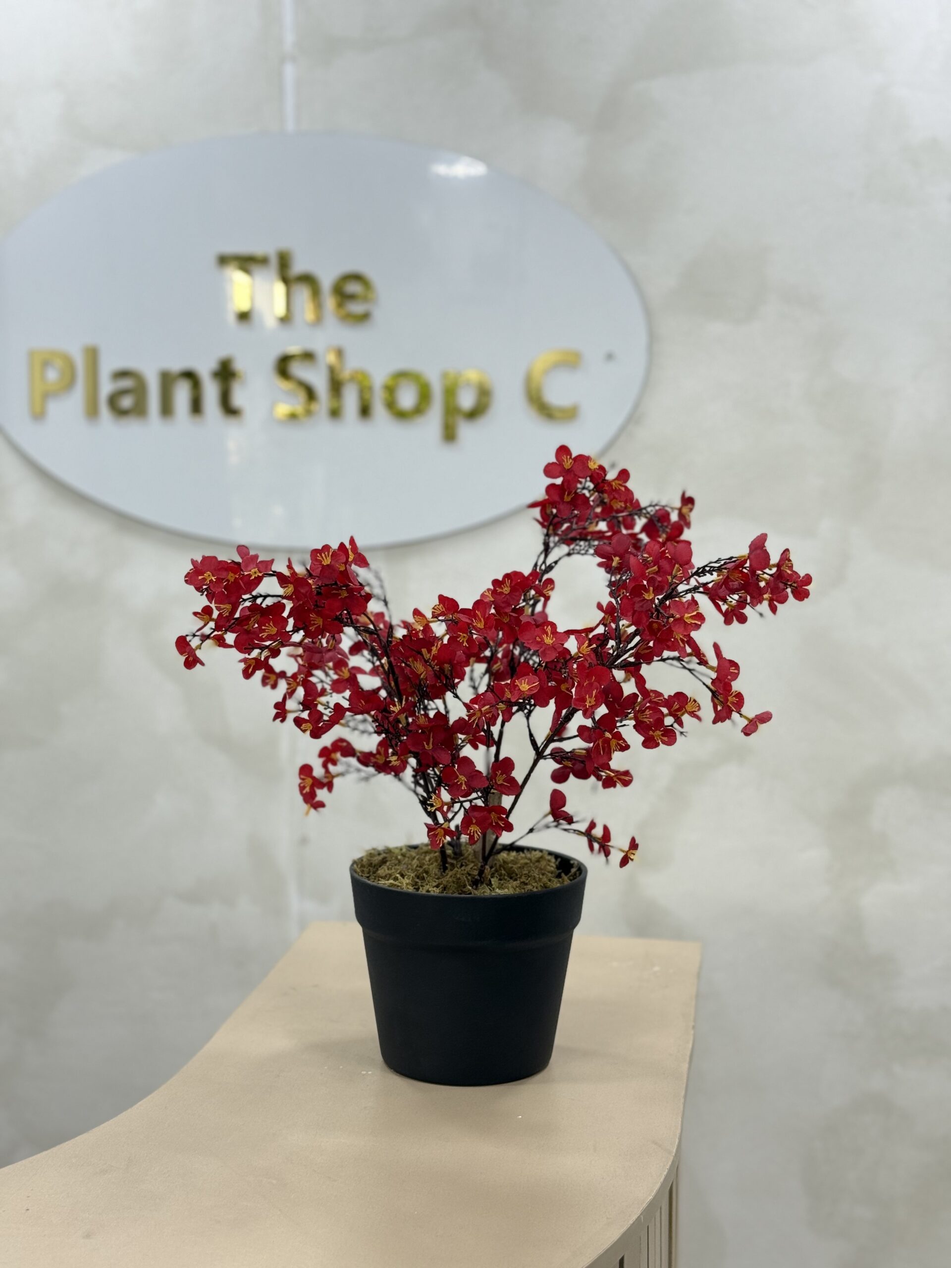 Artificial Plant - Begonia  - 45cm