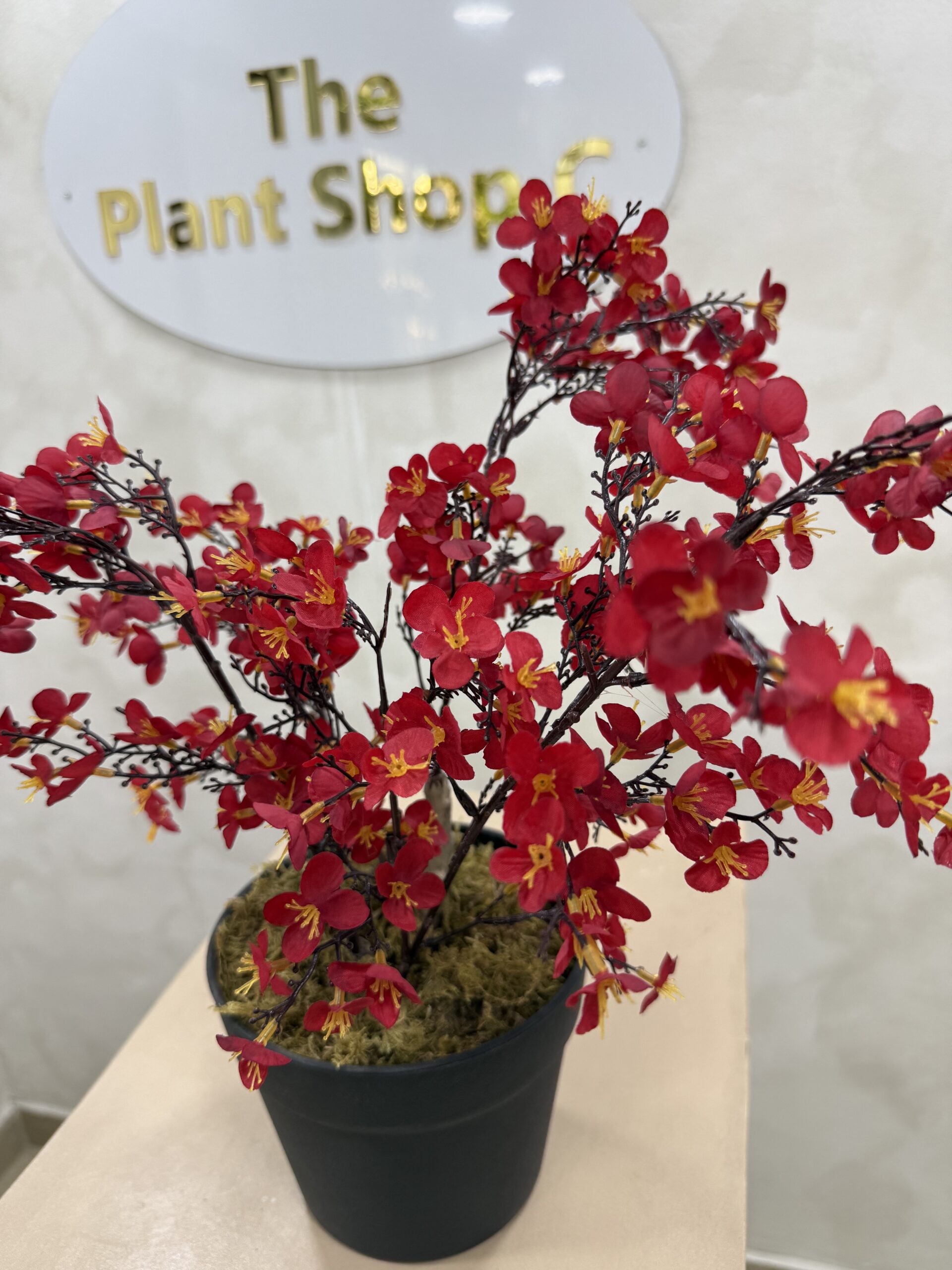 Artificial Plant - Begonia  - 45cm