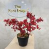 Artificial Plant - Begonia  - 45cm