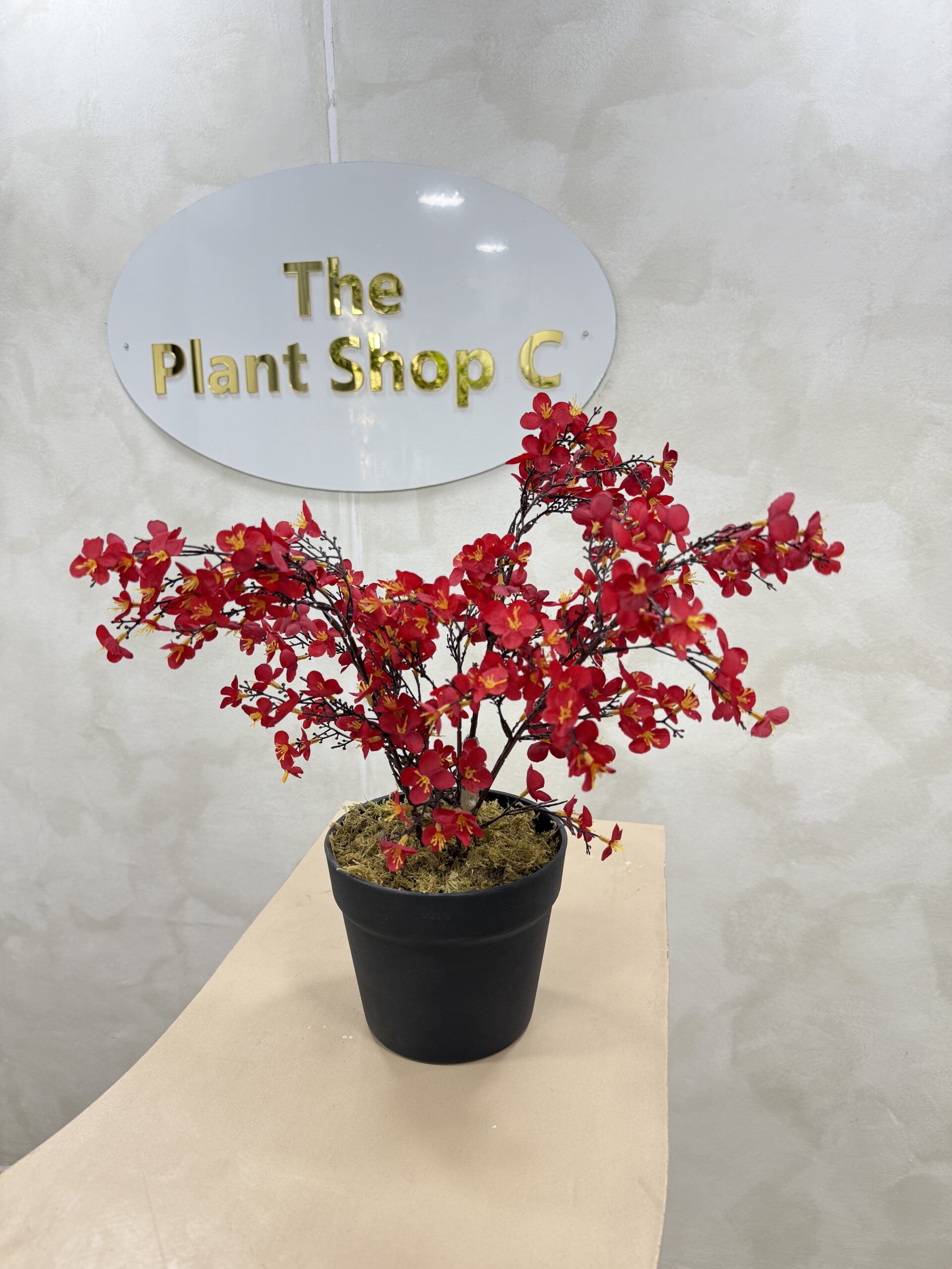 Artificial Plant - Begonia  - 45cm