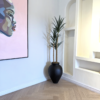 Slim Yucca Tree with Matte Black Ampora Pot